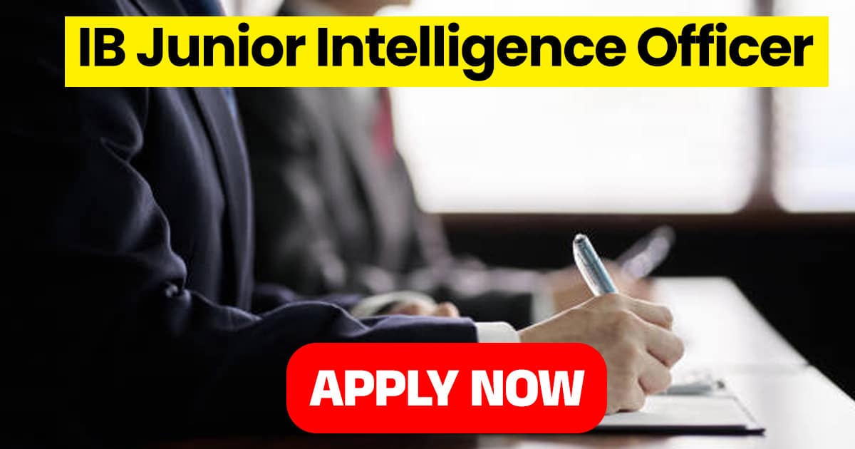 IB Junior Intelligence Officer